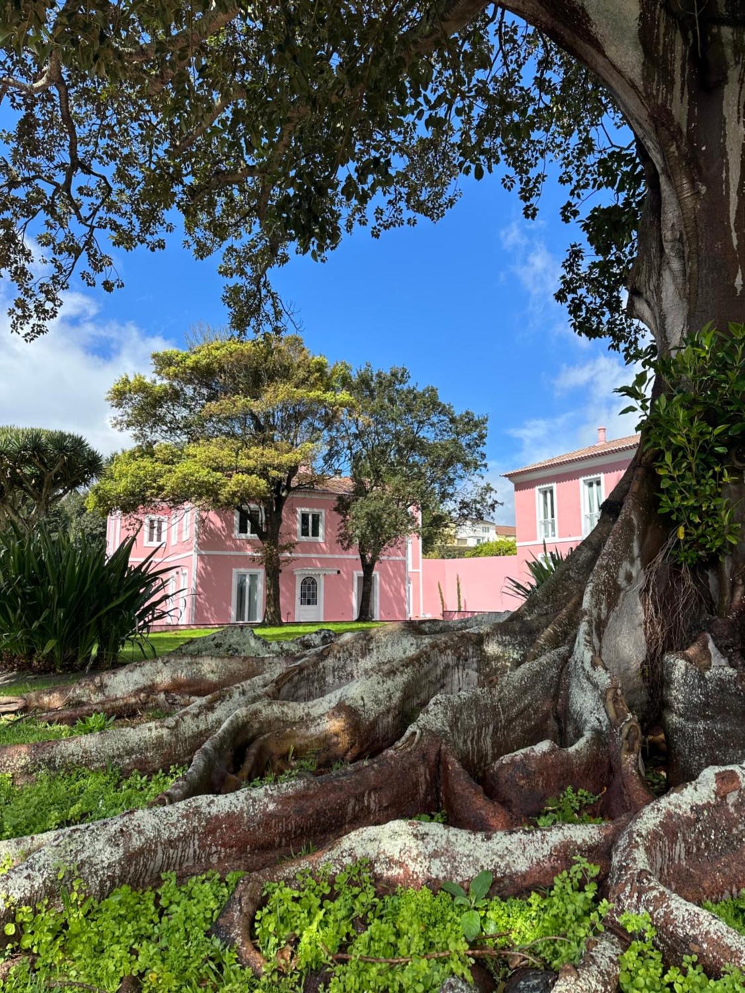 Solar Dos Cantos Botanic House & Garden Ponta Delgada Eksteriør bilde