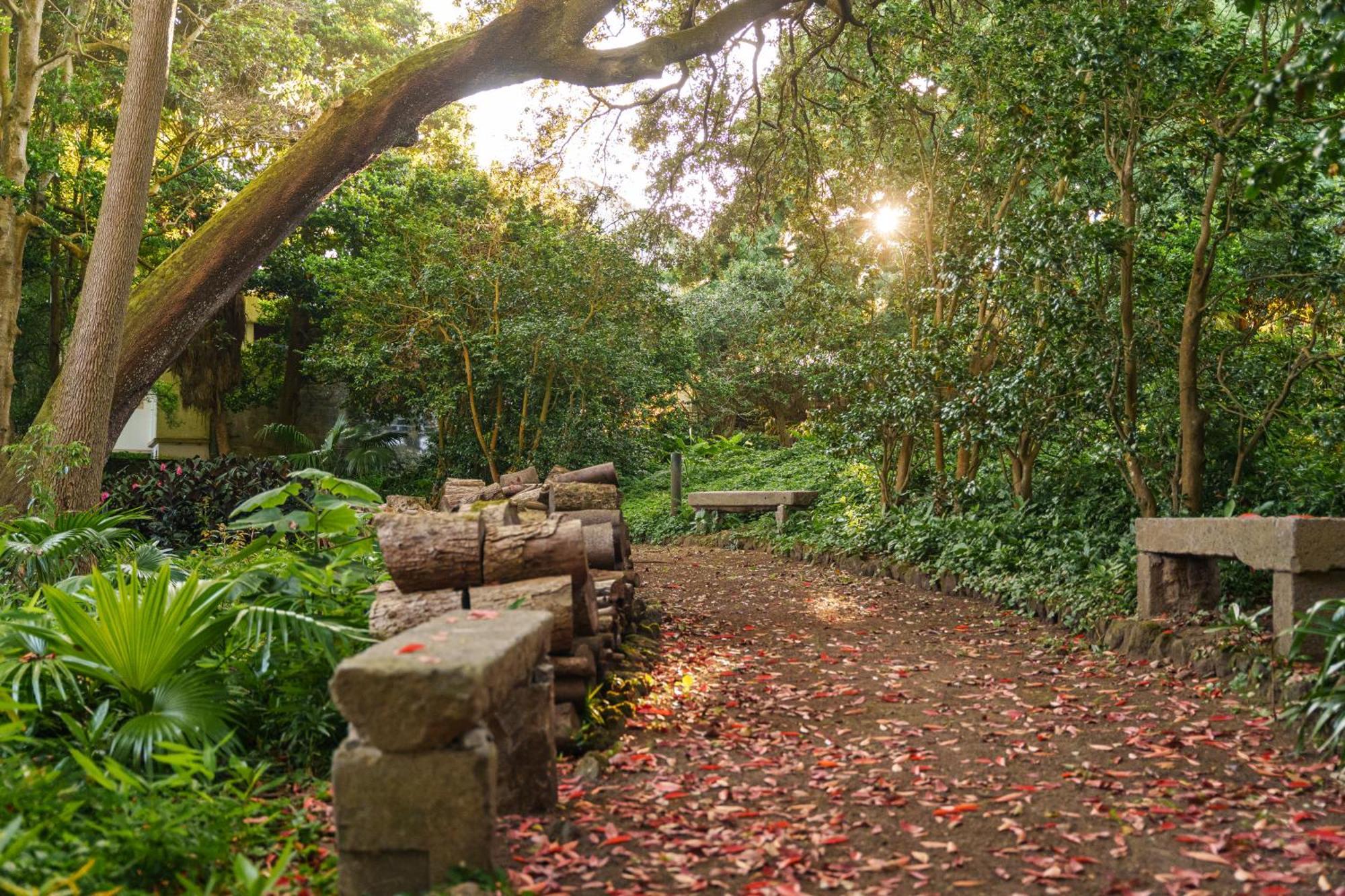 Solar Dos Cantos Botanic House & Garden Ponta Delgada Eksteriør bilde